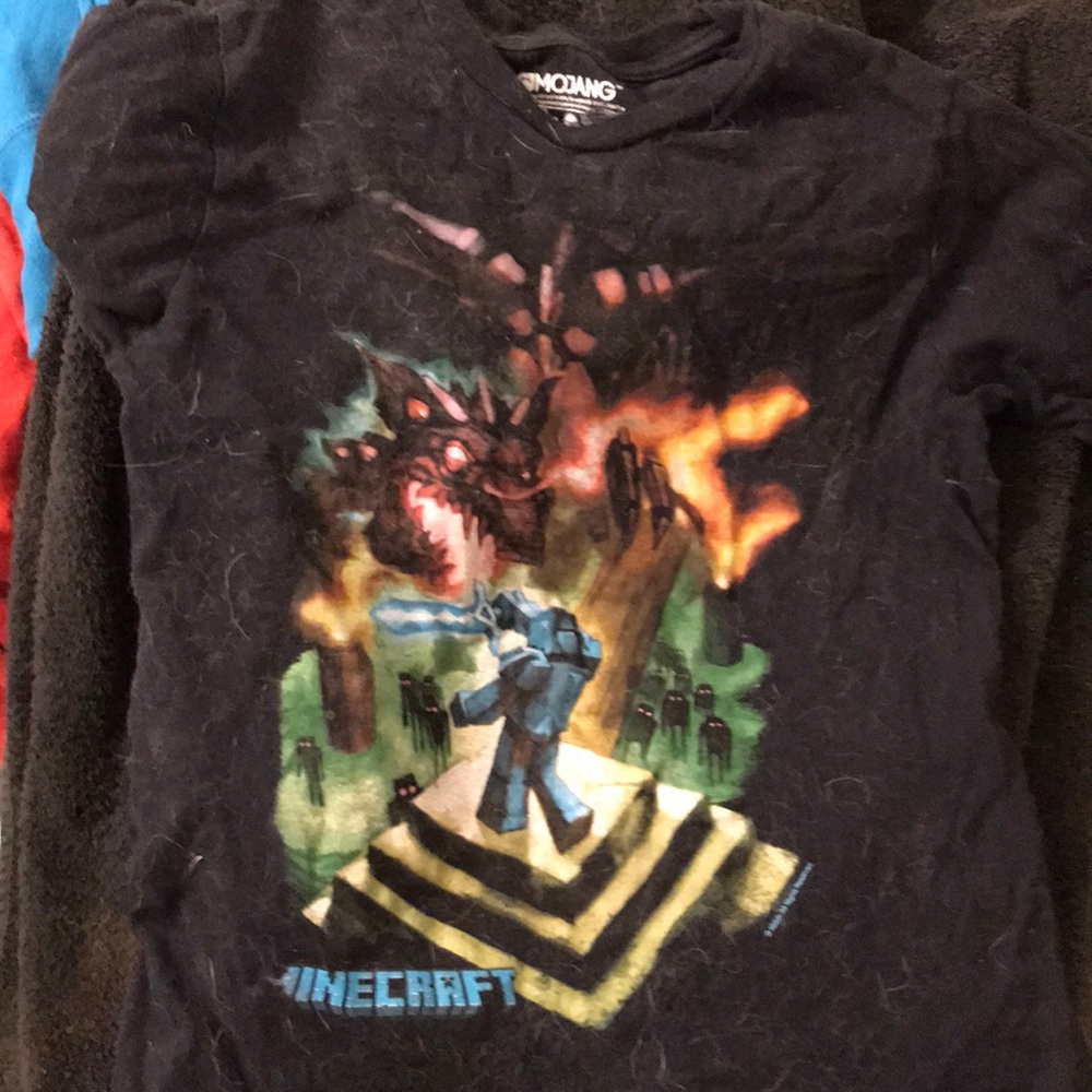 Minecraft long sleeve shirt